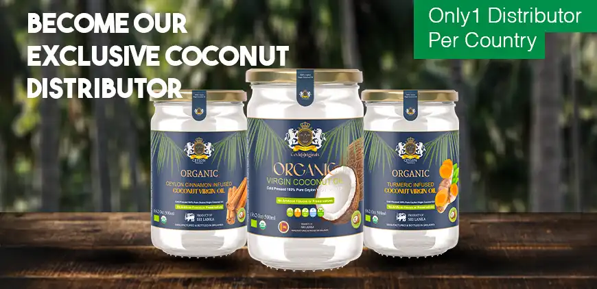 Ceylon products category showcase